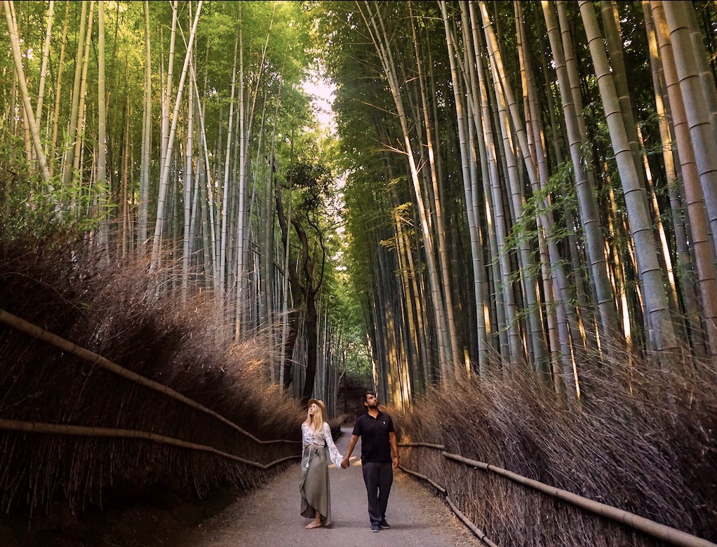 Woman and man standing in the middle of a pathway surrounded by tall stalks of bamboo.