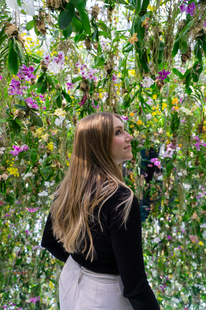 Orchid room at teamLab Planets Tokyo