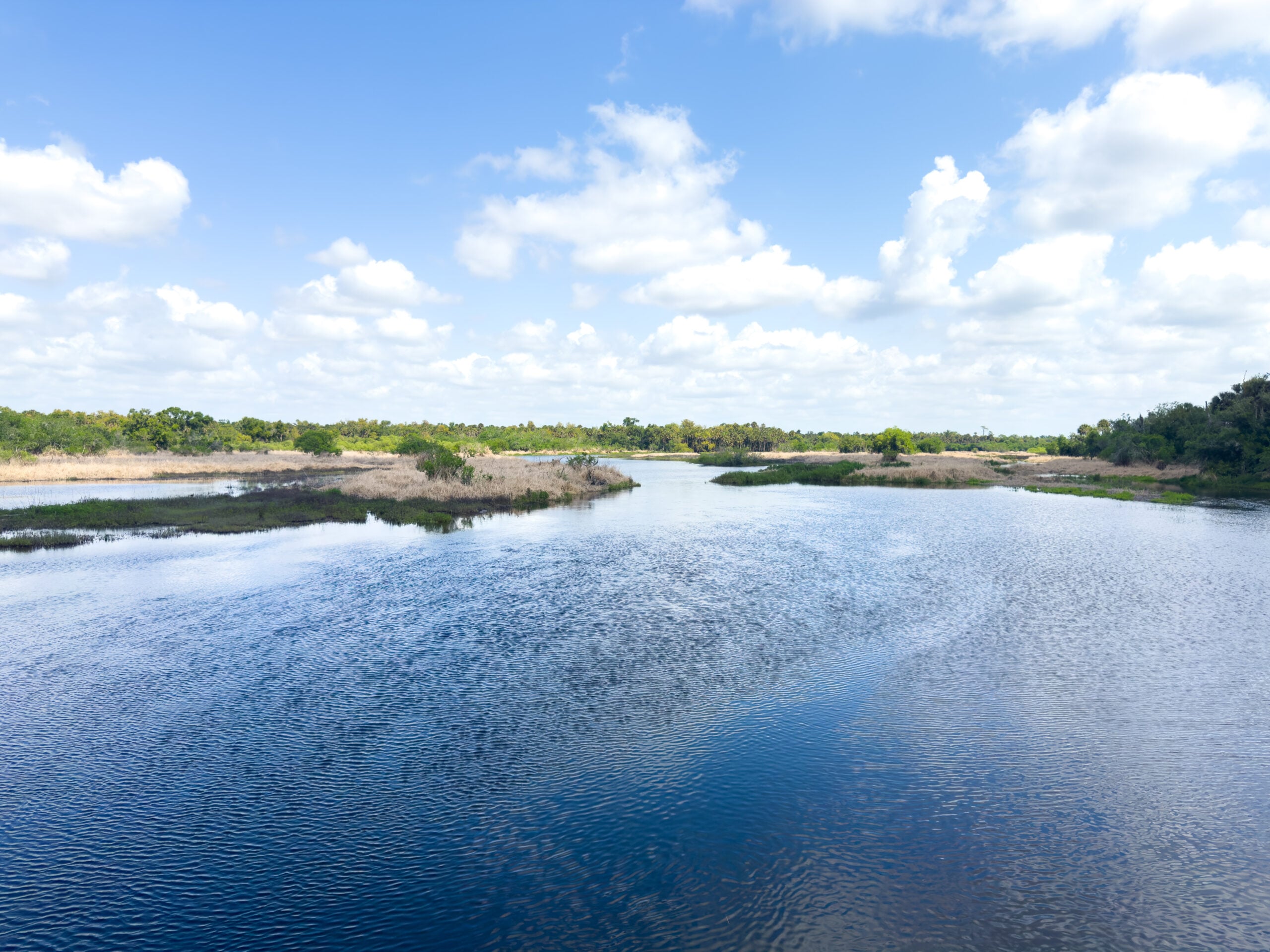 View of the wetlands at Myakka State Park in Florida.