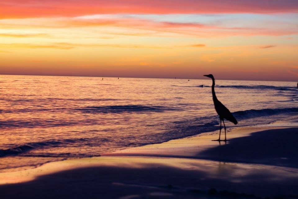 Sarasota Beaches