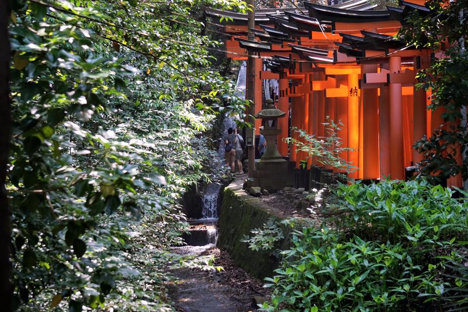 Path leading up to Fushimi Inari