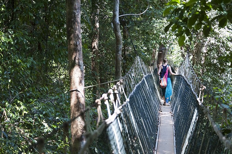 Taman Rope Bridge - The Crowded Planet