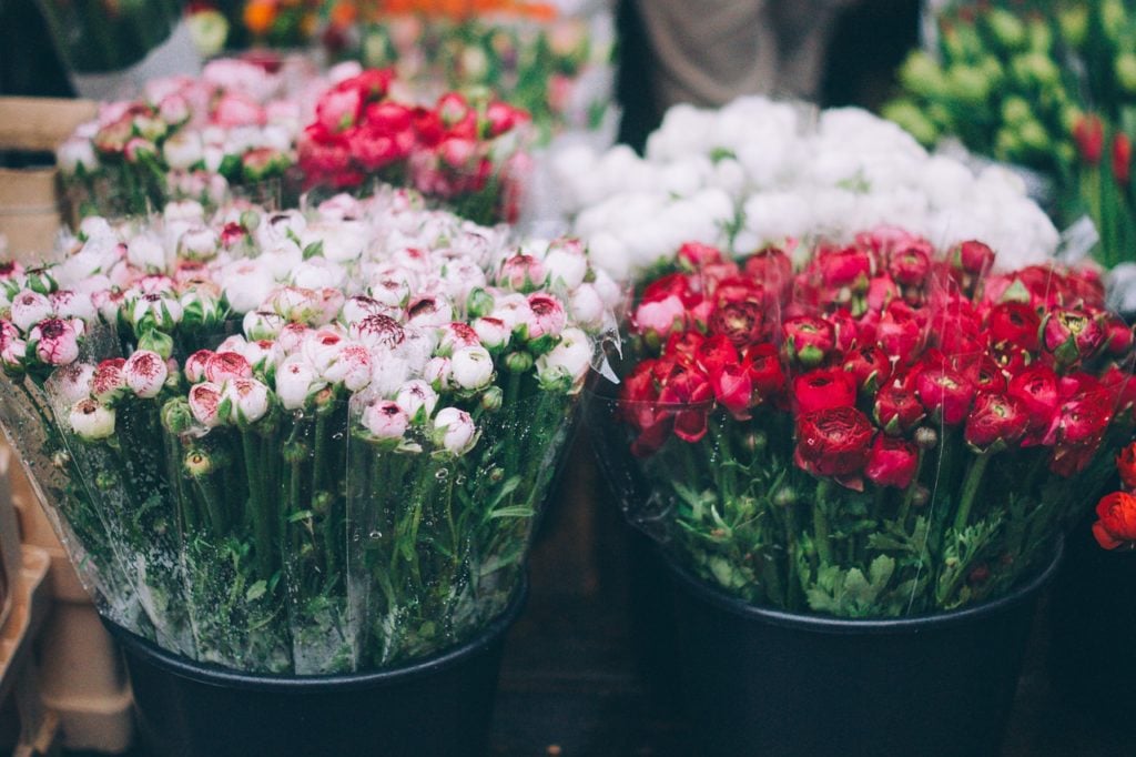 Flowers at the Nashville Farmer's Market - downtown Nashville attractions