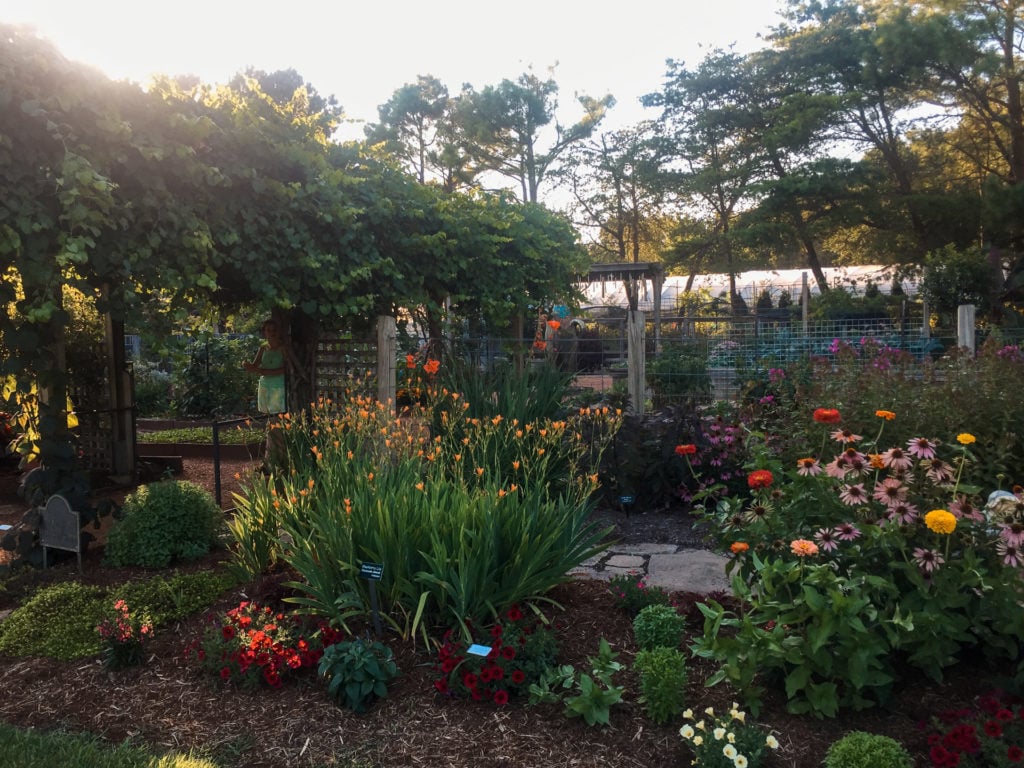 Botanical Gardens of the Ozarks in Fayetteville, Arkansas