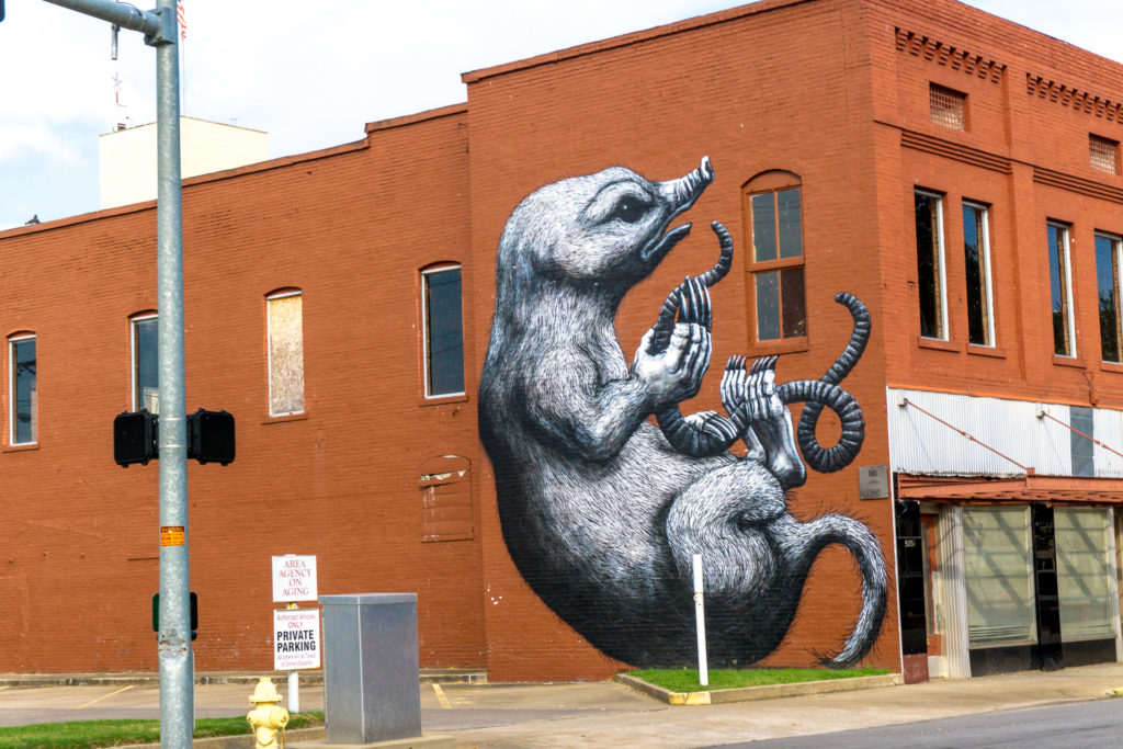 The Unexpected Murals Project - Fort Smith, Arkansas
