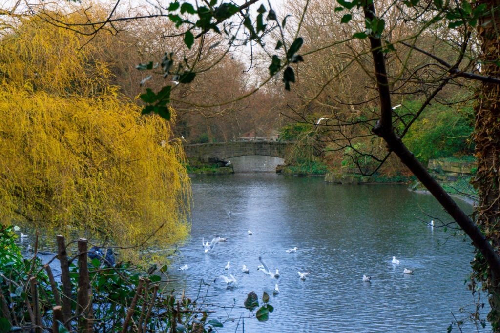 St. Stephen's Green in Dublin