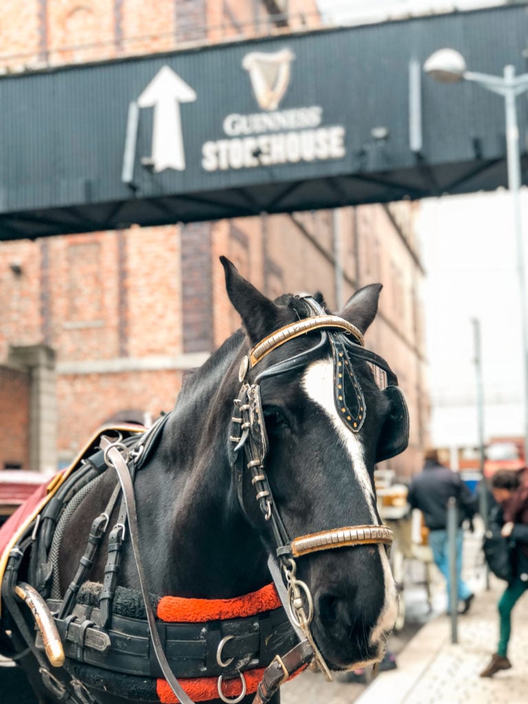 Dublin horse-drawn carriage ride.