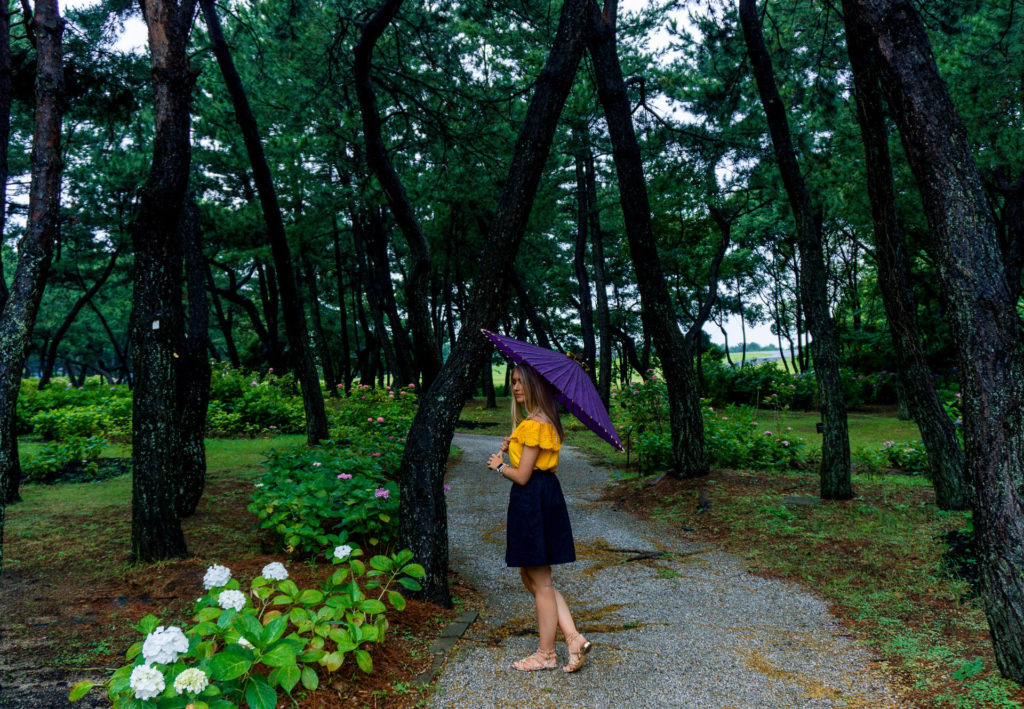 Woman walking down a paved path holding a purple umbrella (Location Uminonakamichi Seaside Park - Fukuoka)