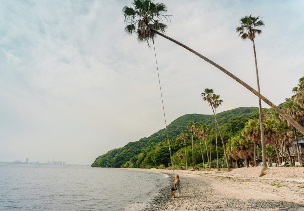 Woman swinging on a swing tied to a palm tree at Nokonoshima Island - Fukuoka