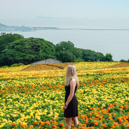 Woman standing in a field of yellow and orange flowers overlooking the ocean at Nokonoshima Island in Fukuoka, Japan
