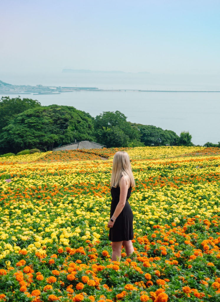 Woman standing in a field of yellow and orange flowers overlooking the ocean at Nokonoshima Island in Fukuoka, Japan