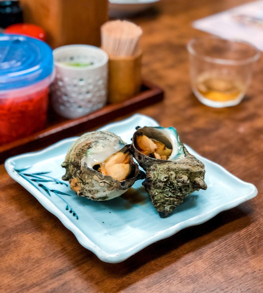 Turban Shell in Fukuoka, Japan