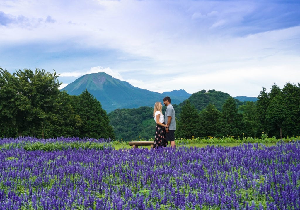 Tottori Flower Park near Mt. Daisen