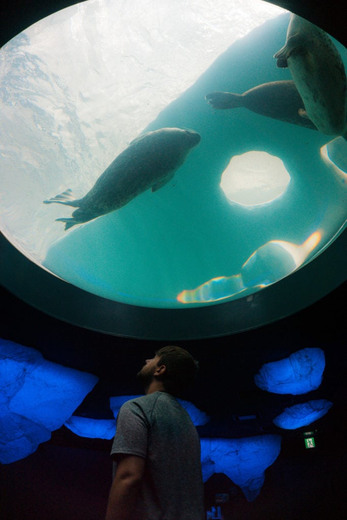 View of one of the aquarium features at Osaka Aquarium Kaiyukan in Osaka