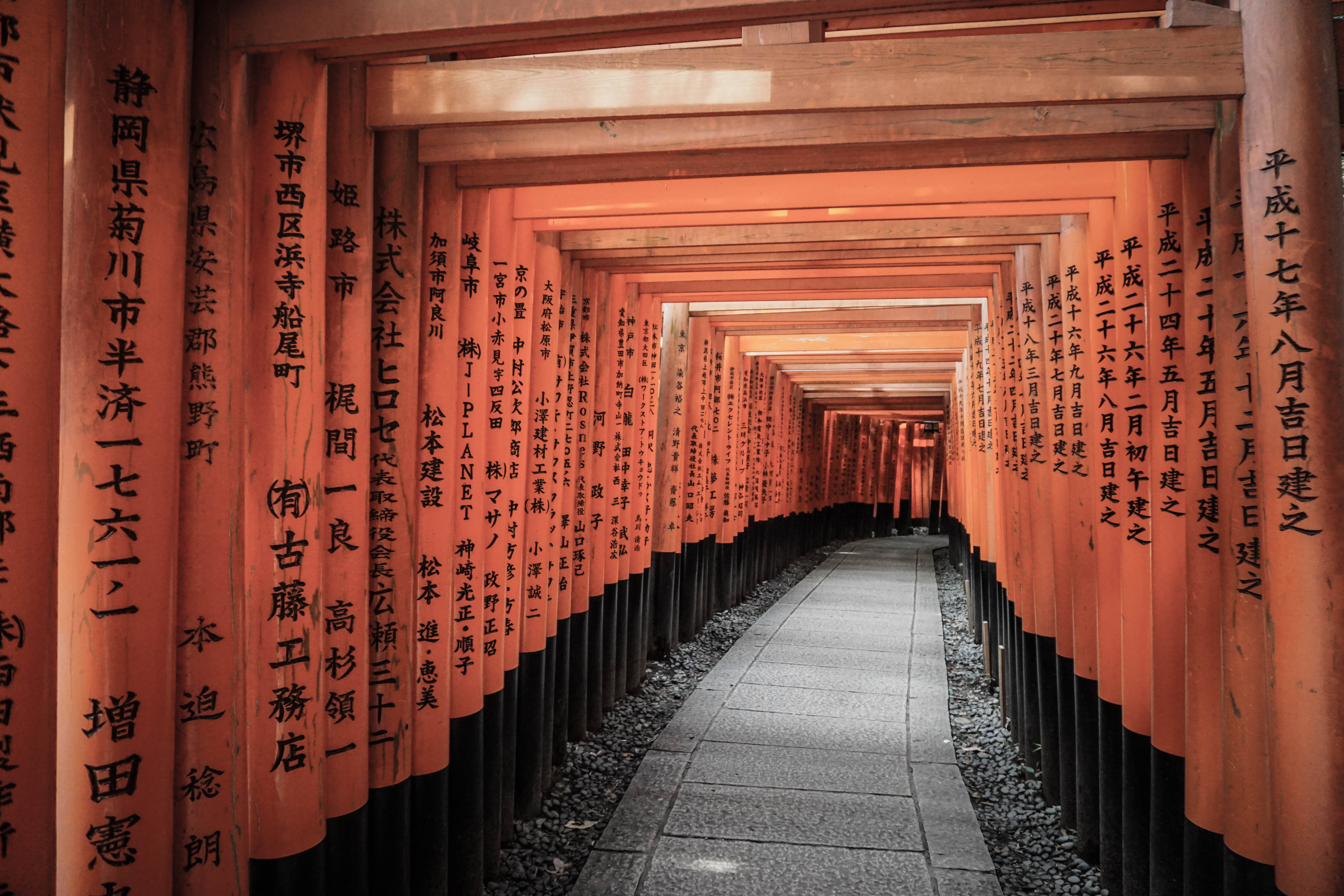 Rows of orange torii gates at Fushimi Inari in Kyoto, Japan