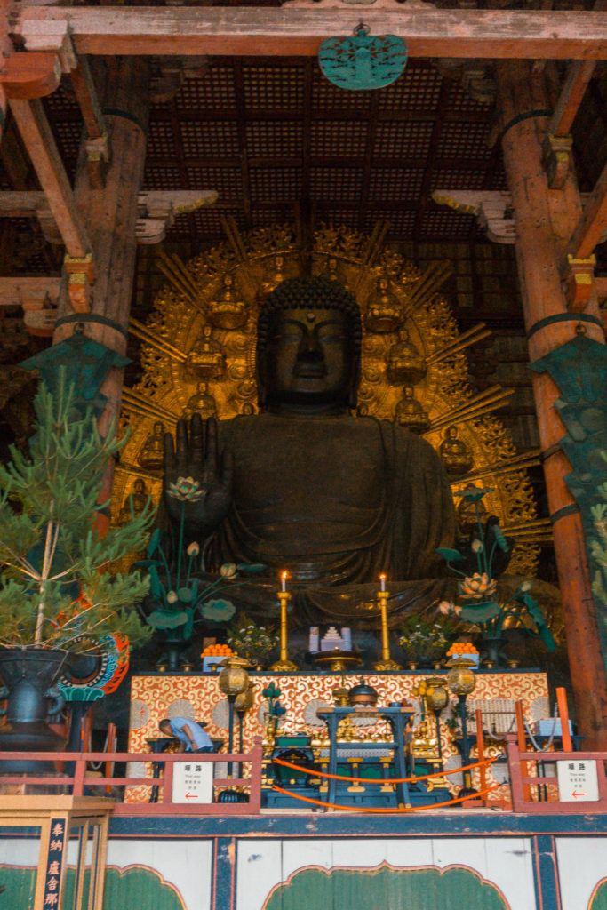 A large wooden Buddha inside a temple in Nara