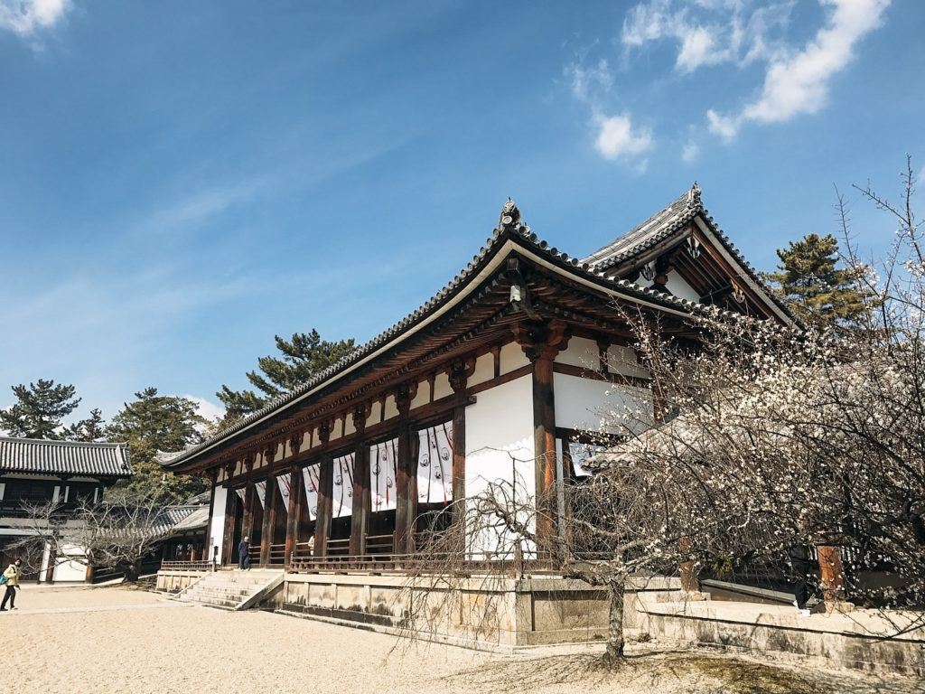 Horyuji Temple from a side angle (Nara, Japan)