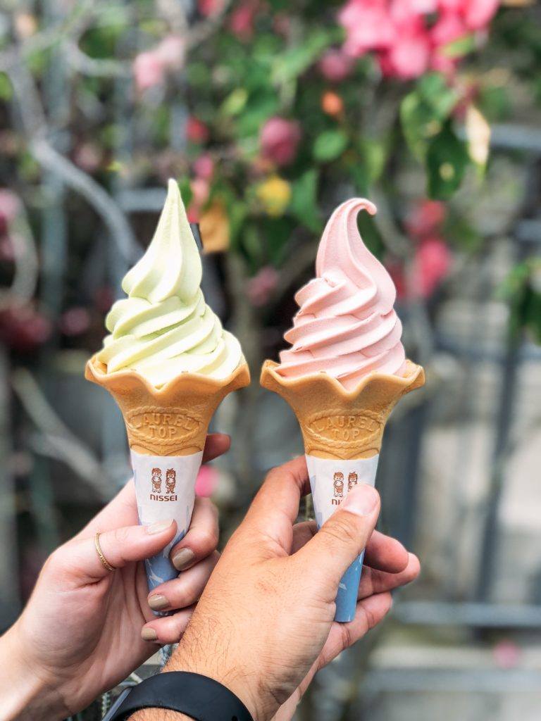 Tottori Pear Ice Cream - Japan