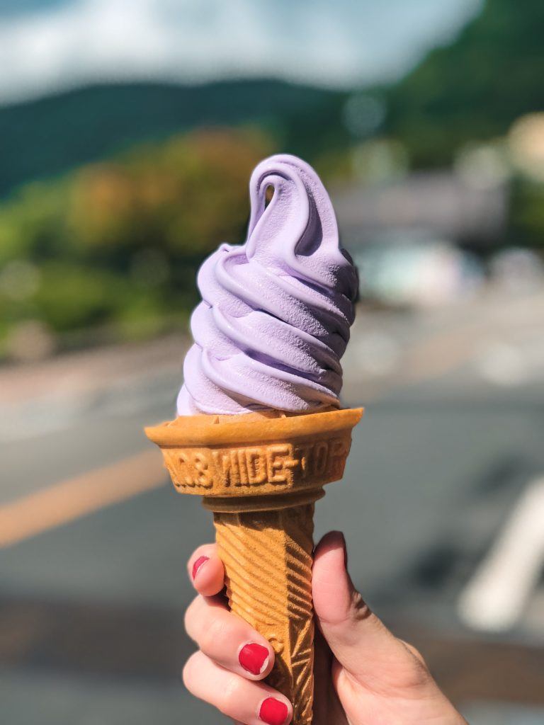 Lavender Ice Cream near Lake Kawaguchiko in Japan