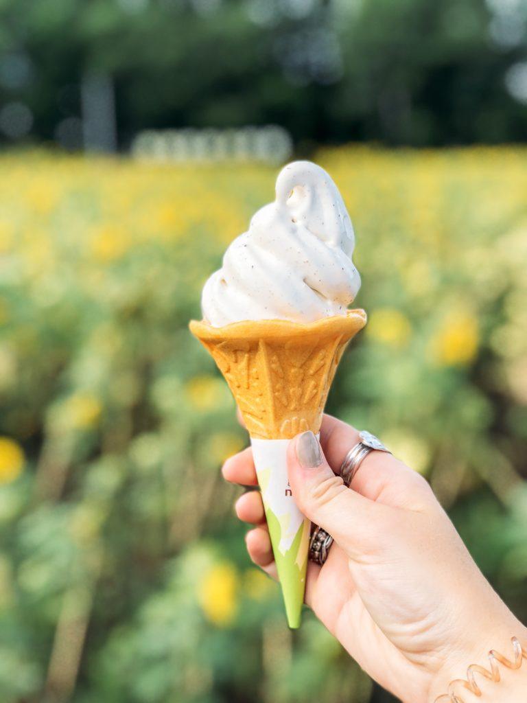 Sunflower Ice Cream