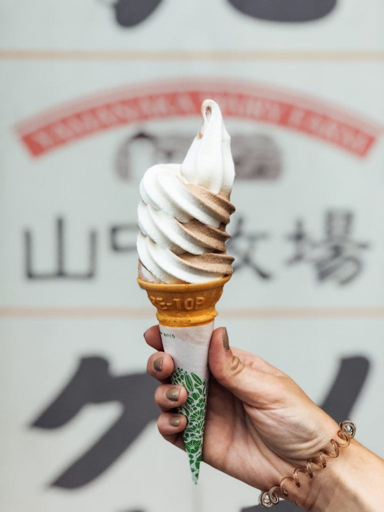 Hokkaido Milk Ice Cream (chocolate and vanilla swirl)