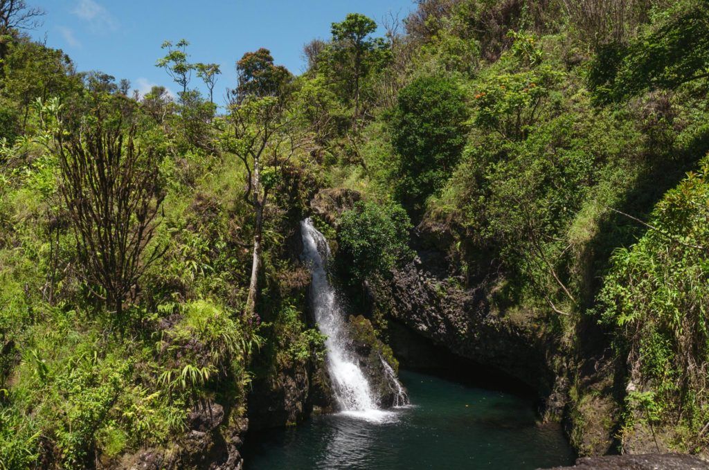 Hanawi Falls on the Road to Hana in Maui.