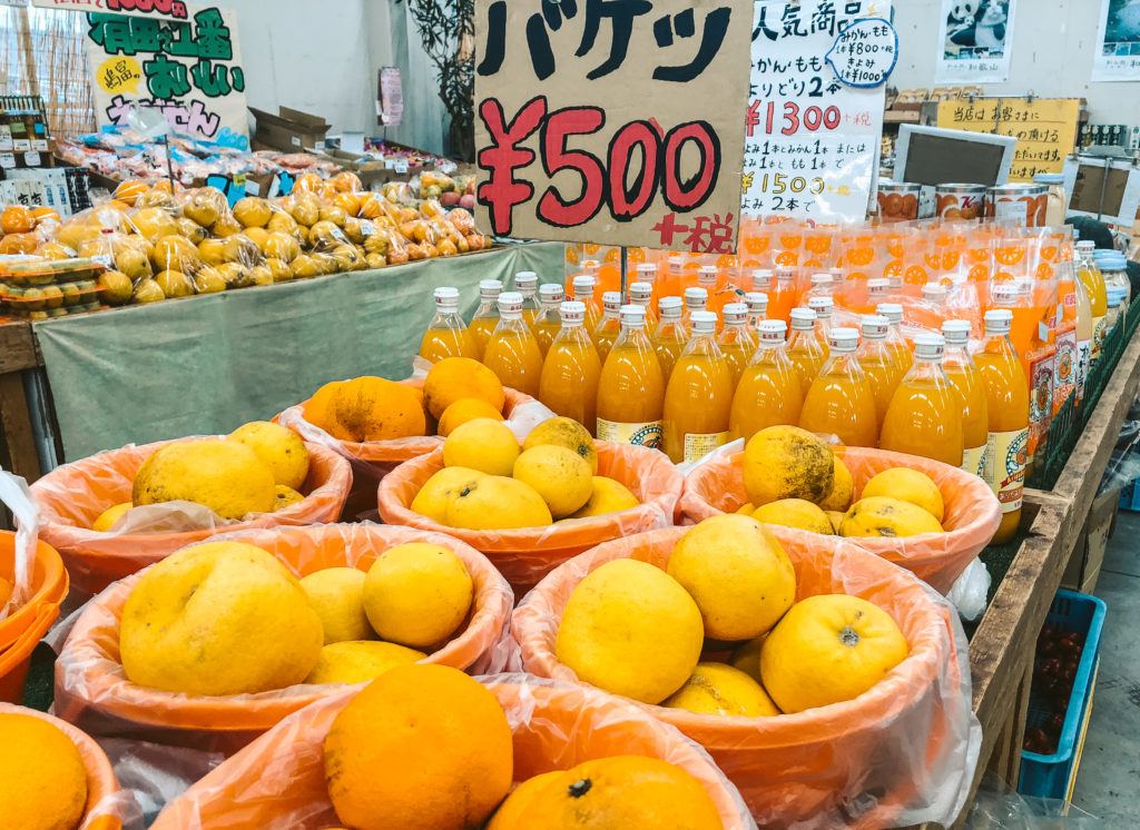 Kinokuni Fruit Village