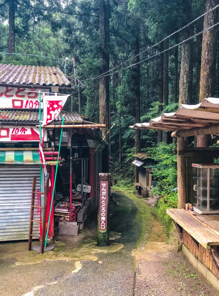 Hiking trail to Sendon Todoro (栴壇轟の滝)  in Gokanosho, Japan