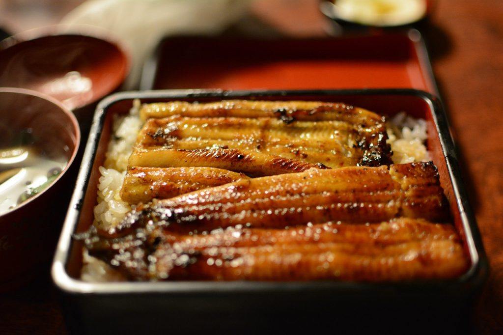 Unagi rice set in Yanagawa