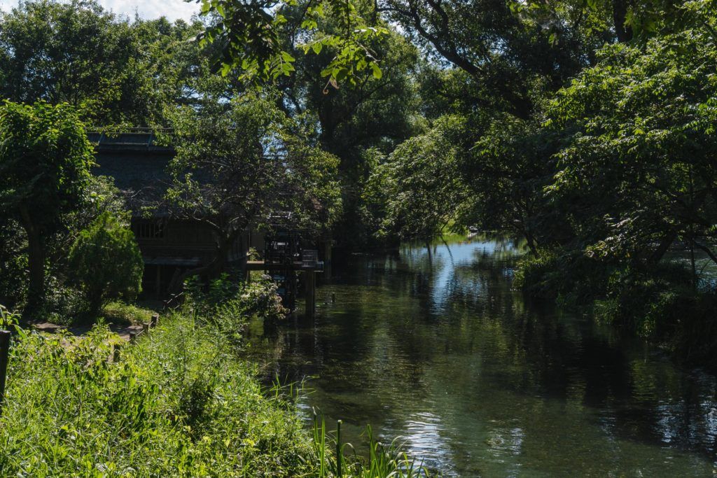 Stream and windmill at Daio Wasabi Farm