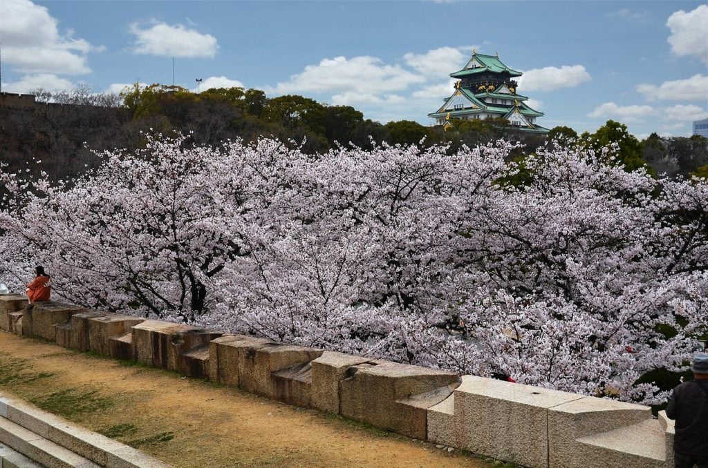 Osaka Castle Park