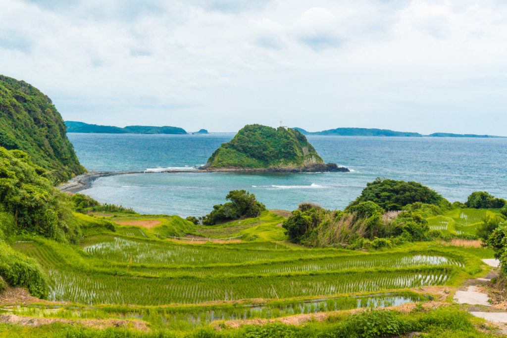 Tawarajima Rice Fields