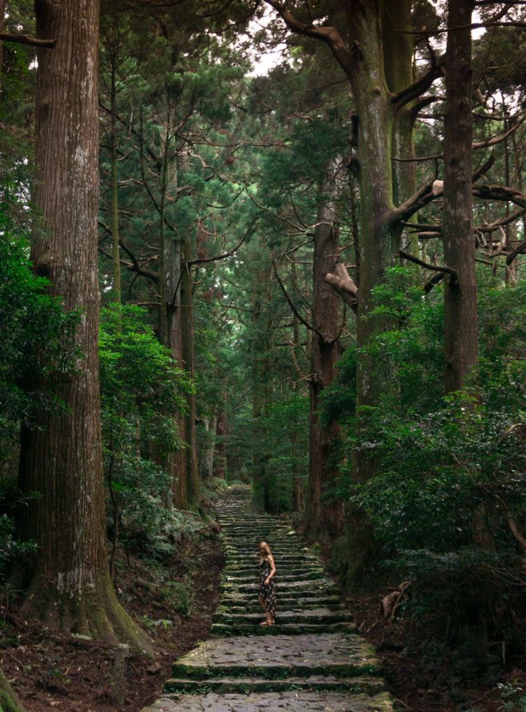 Daimonzaka - Kumano Kodo trails