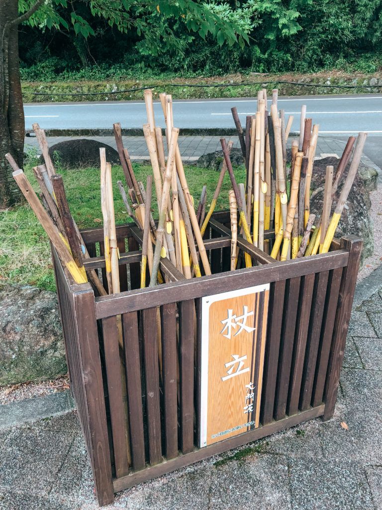 Bamboo walking sticks that are free to use while on Kumano Kodo.