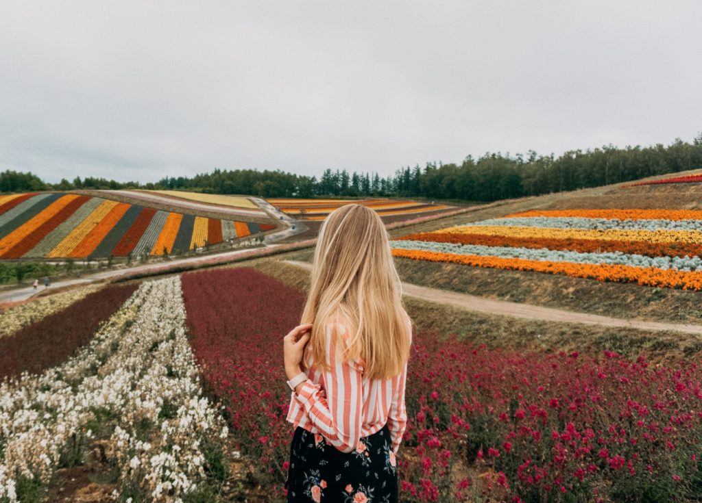 Shikisai no Oka flower field in Hokkaido.