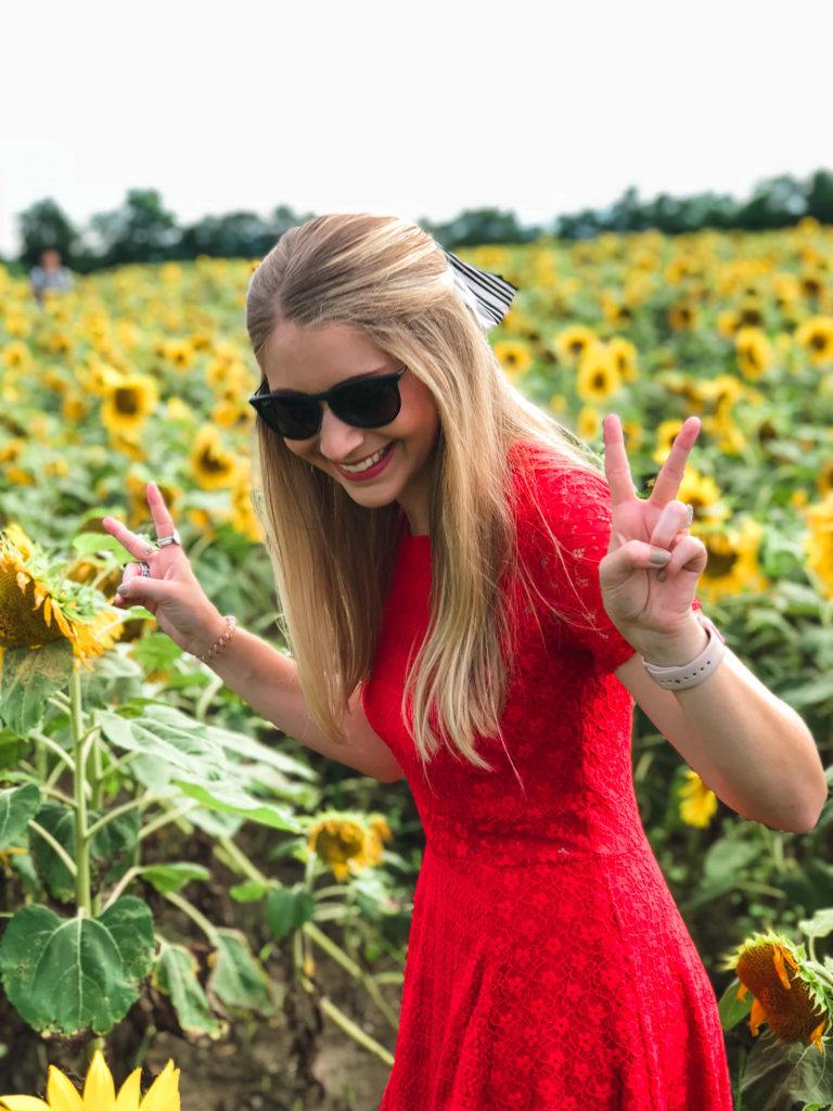 Hokuryu Sunflower Park in Hokkaido, Japan