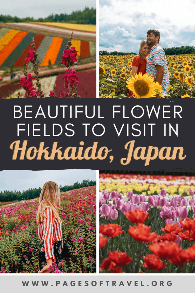 Hokkaido is a popular destination in Japan that many people visit during the winter for snow sports such as skiing, dog sledding, or snowboarding. But Hokkaido is also a wonderful place to visit during the summer for cooler temperatures, hiking in national parks, and the breathtaking flower fields. Let's take a journey to some of the most popular Hokkaido flower fields, how to get there, and when to visit! Hokkaido | Flower Fields | Japan Travel | Summer in Japan | Hokkaido Flowers