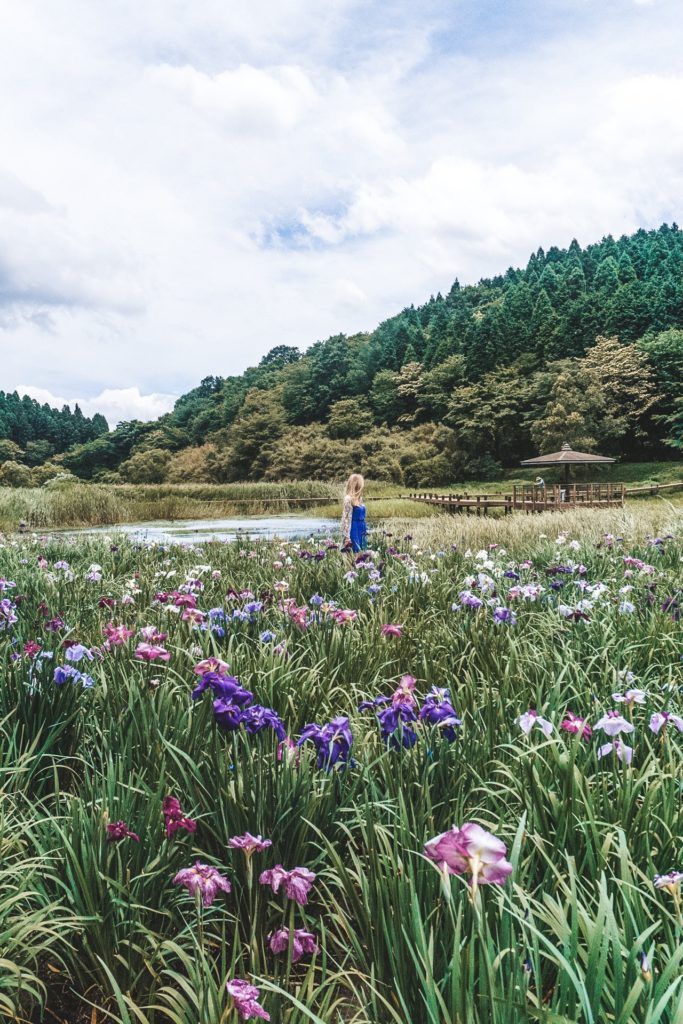 Kagurame Lake - things to do in Beppu, Japan