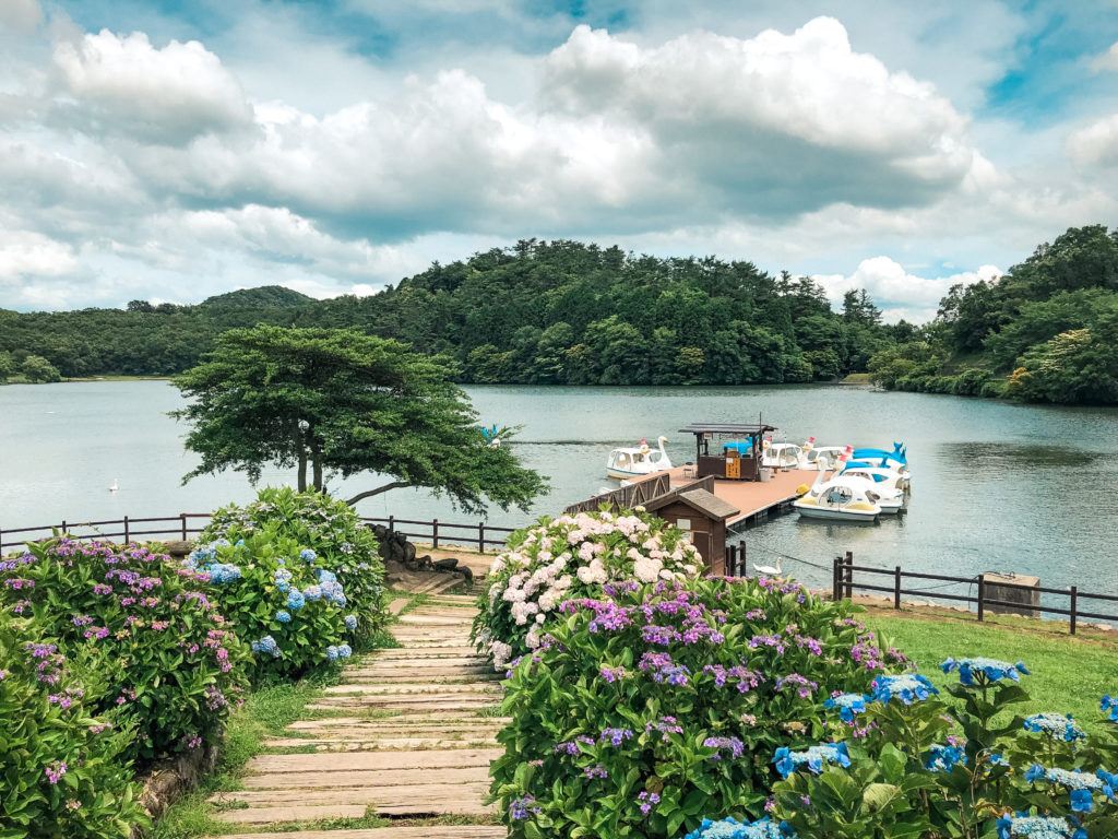 Paddle boats at Shidokako Lake - things to do in Beppu, Japan