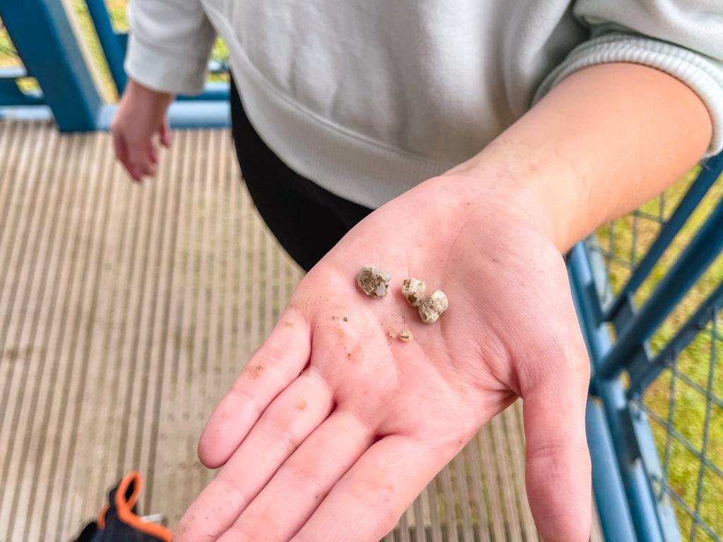 Hand holding a few rocks and minerals.