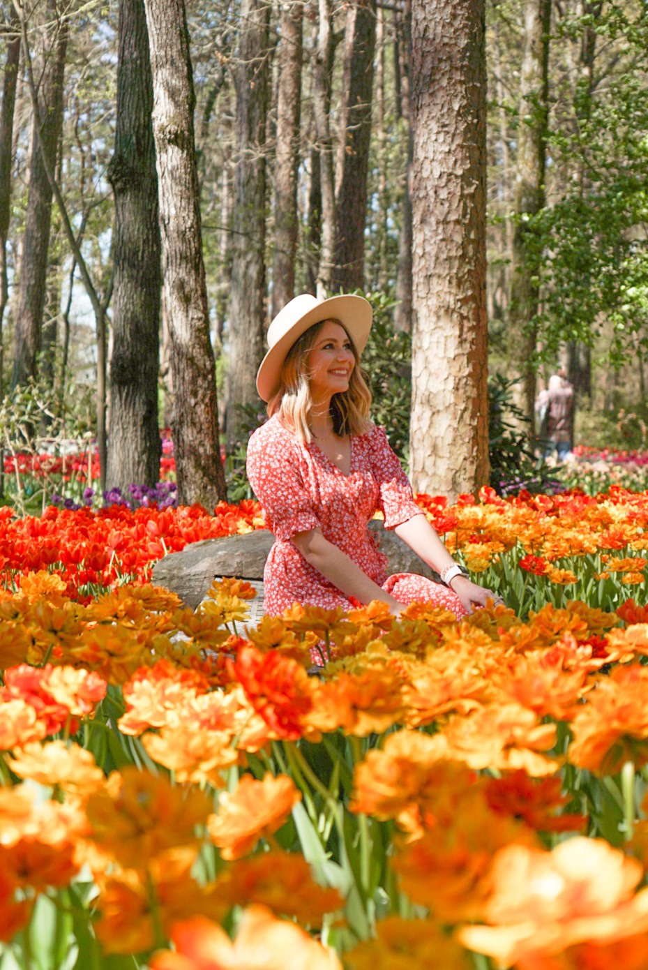 The Best Things to Do in Hot Springs, Arkansas Pages of Travel