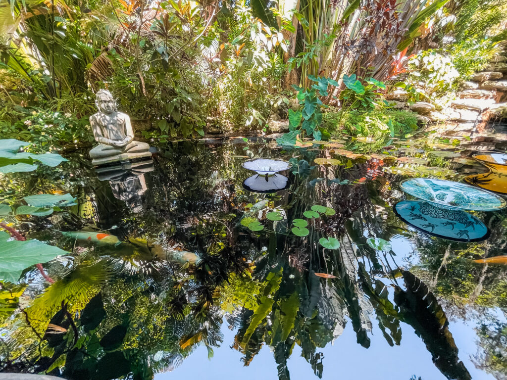 Koi pond at Marie Selby Botanical Gardens in Sarasota, Florida