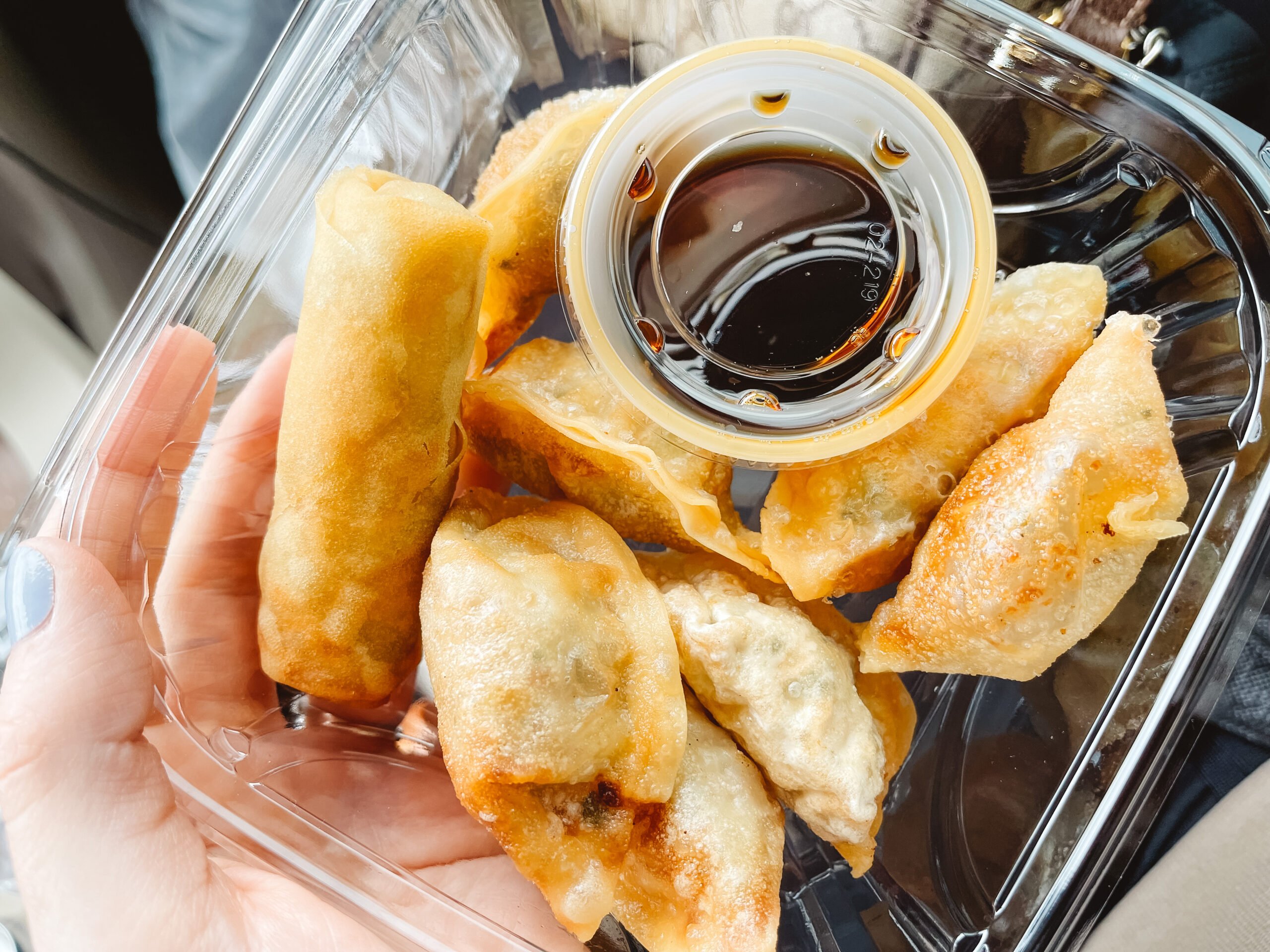 Dumplings from Kim's Oriental Market in Sarasota