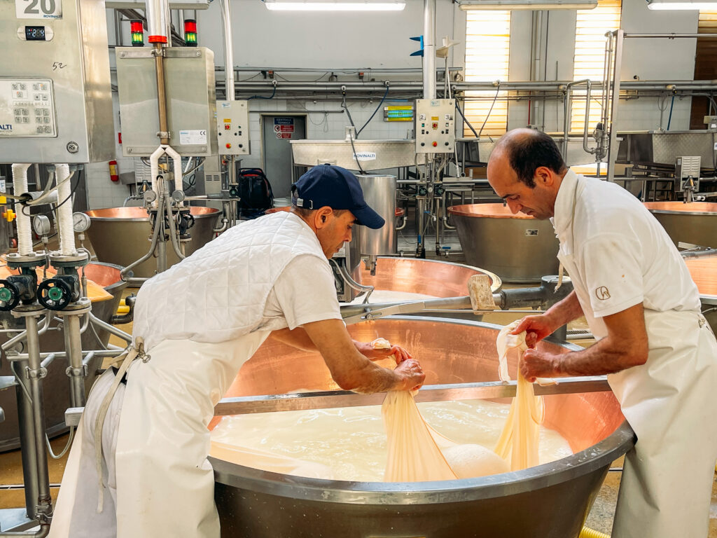 Two men placing a wheel of cheese in cheesecloth at parmesan factory on Italian Days Food Tour in Bologna - best bologna food tour
