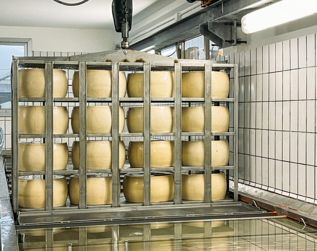 Cheese being placed in saltwater to brine. Italian Days Food Tour in Bologna - best bologna food tour