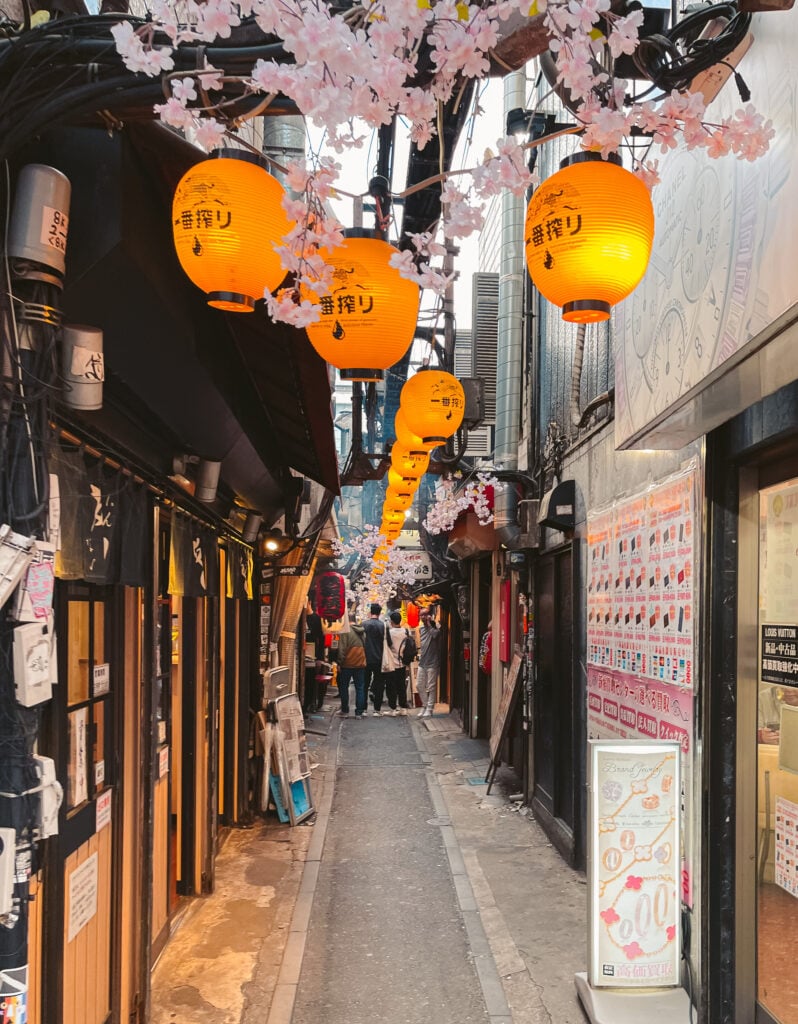 Omoide Yokochō alleyways in Tokyo, Japan