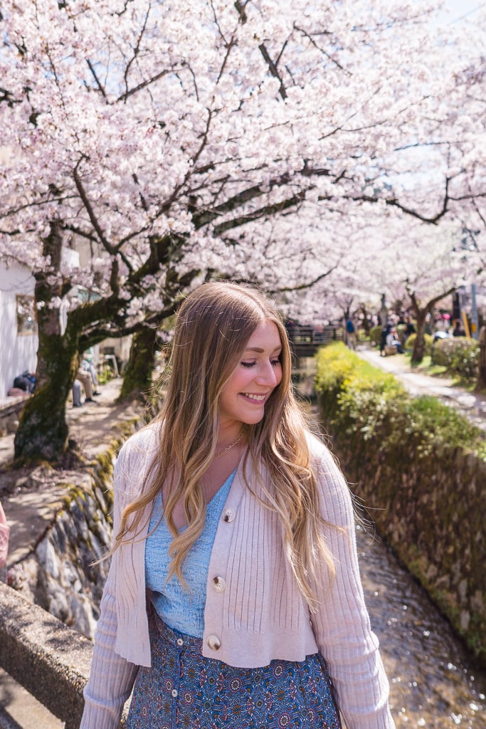 Sakura on the Philosopher's Path in Kyoto.