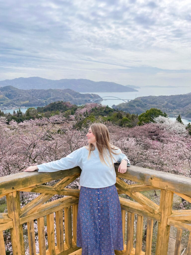 View from the observation tower at Hirakiyama Park.