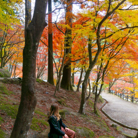 Woman sitting on a tree stump in a mossy forest surrounded by orange, yellow, and red fall foliage at Korankei in Japan