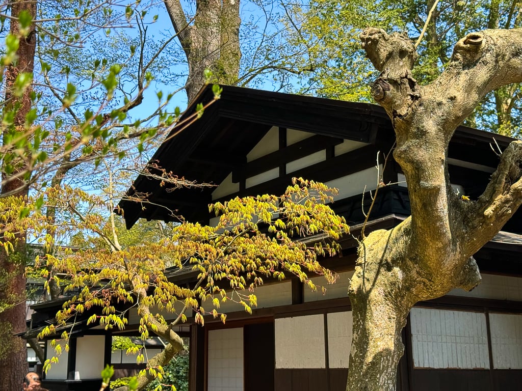 Odano samurai house in Kakunodate, Japan